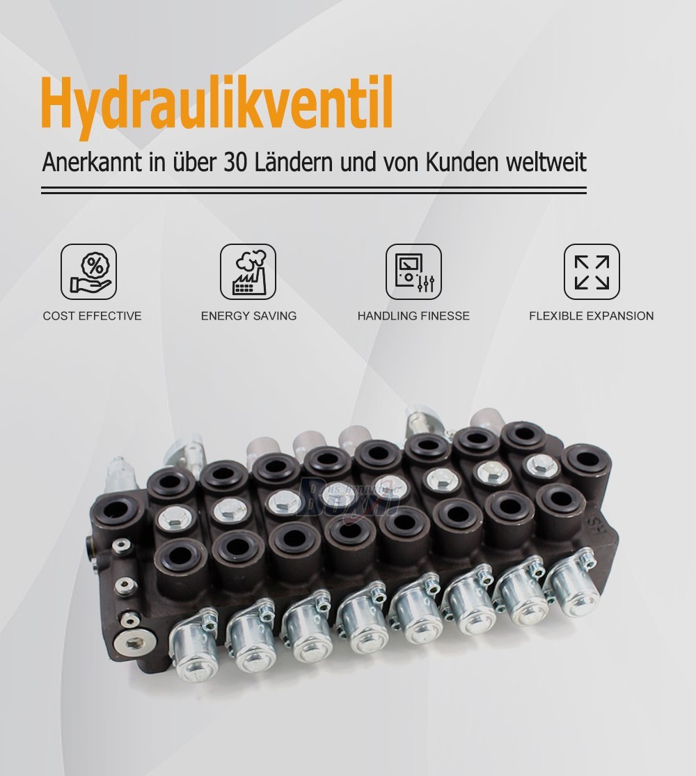 Custom OEM/ODM HSW50 8 Spool Monoblock Valve Private Label Service